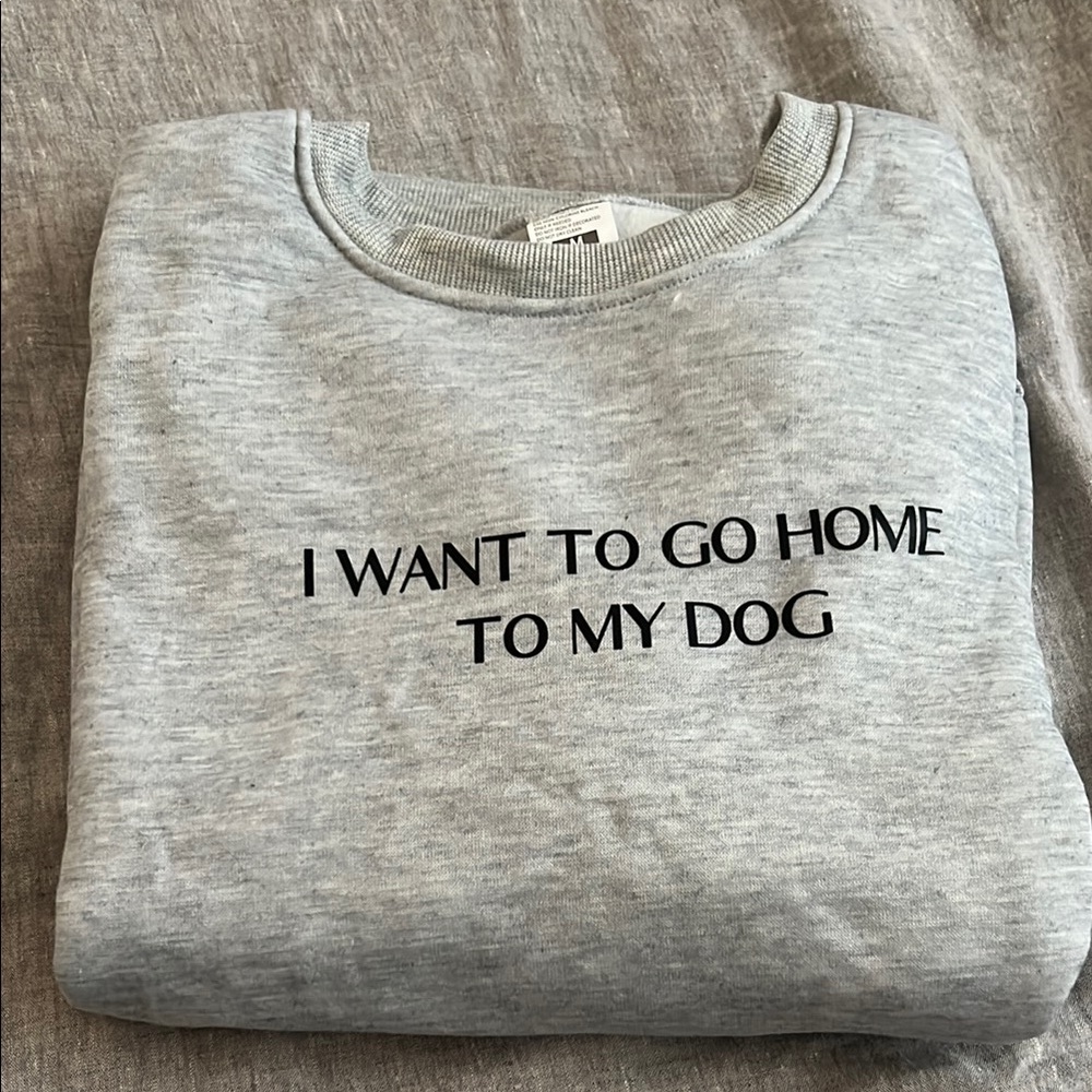 Gray crew neck sweatshirt NWOT